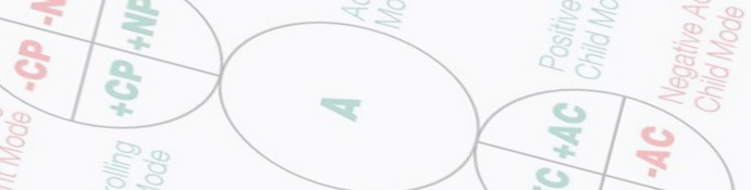 Ttansaction-Analysis