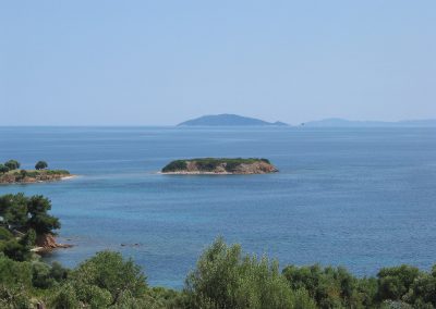 Nikiti 1